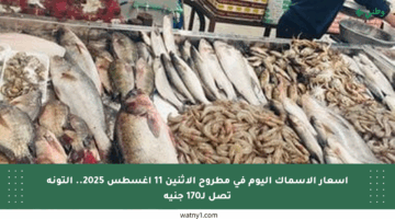 أسعار الأسماك اليوم في مطروح الاثنين 11 أغسطس 2025.. التونة تصل لـ170 جنيه